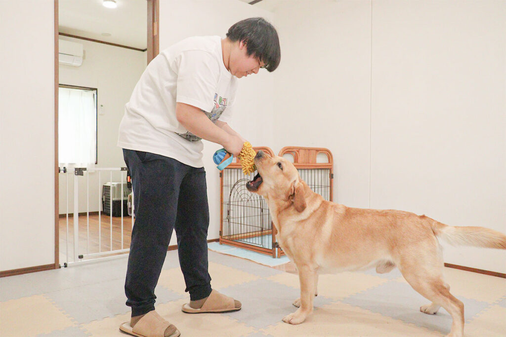 おもちゃを噛む犬